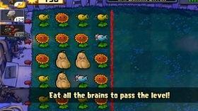 打僵尸跳舞背景音乐,探寻打僵尸游戏中的动感旋律之谜